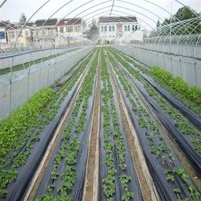 Rouleaux de paillis en plastique